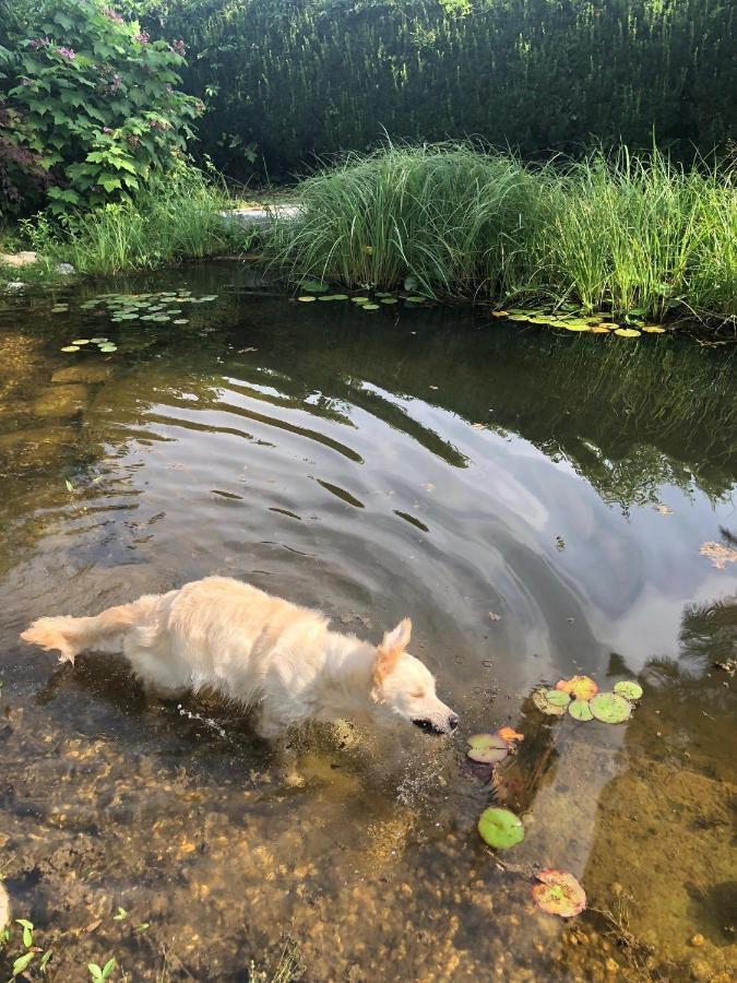 Millies Hosting - Familienurlaub Mit Hund In Kaernten Apartman Sankt Paul im Lavanttal Kültér fotó