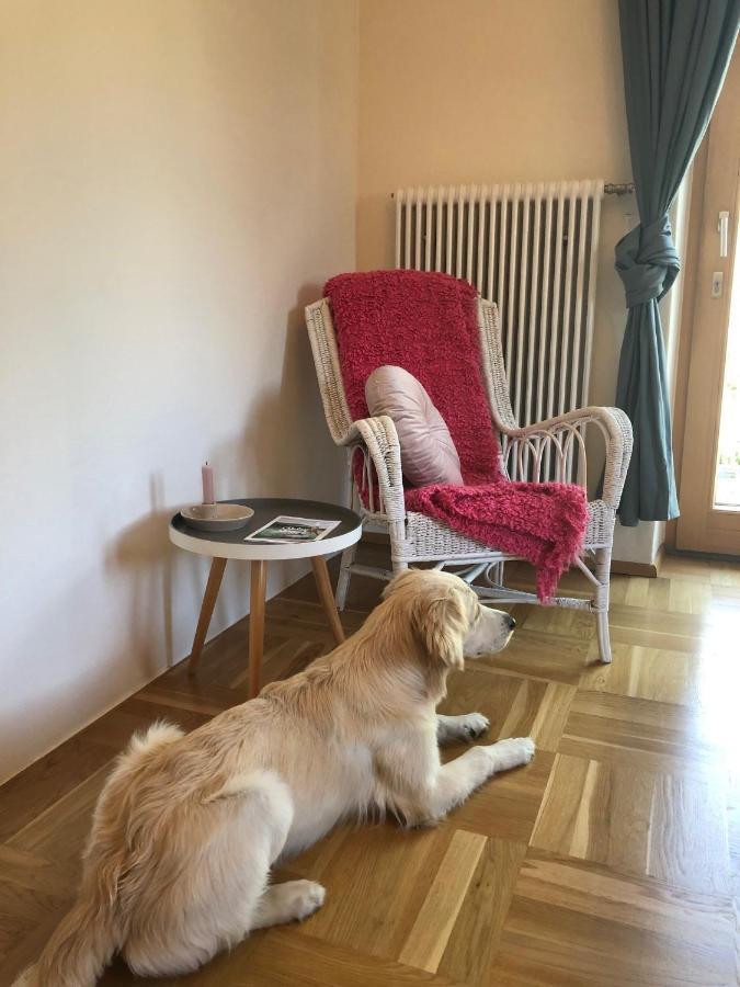 Millies Hosting - Familienurlaub Mit Hund In Kaernten Apartman Sankt Paul im Lavanttal Kültér fotó