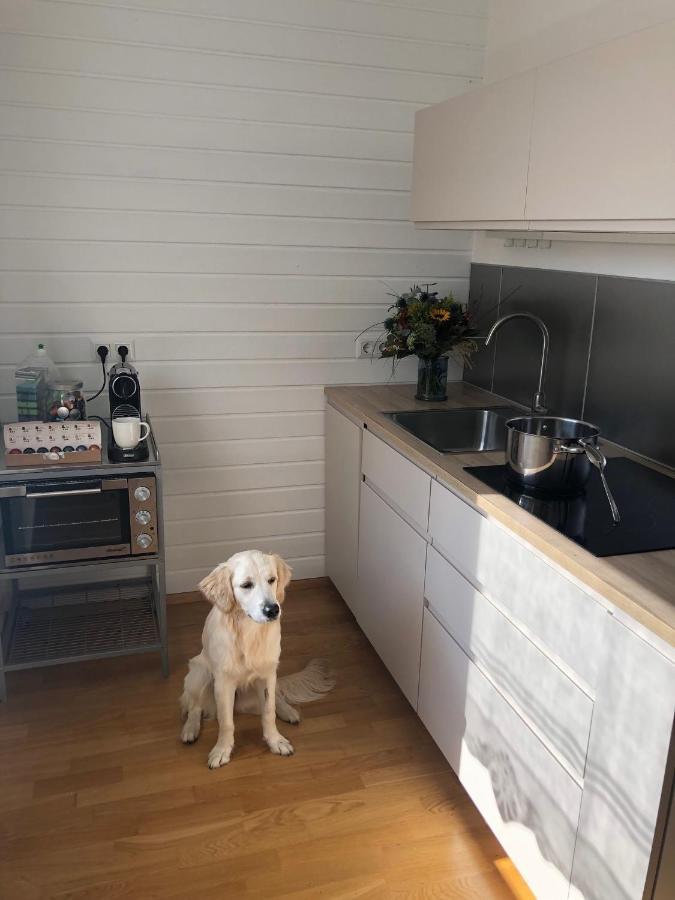 Millies Hosting - Familienurlaub Mit Hund In Kaernten Apartman Sankt Paul im Lavanttal Kültér fotó