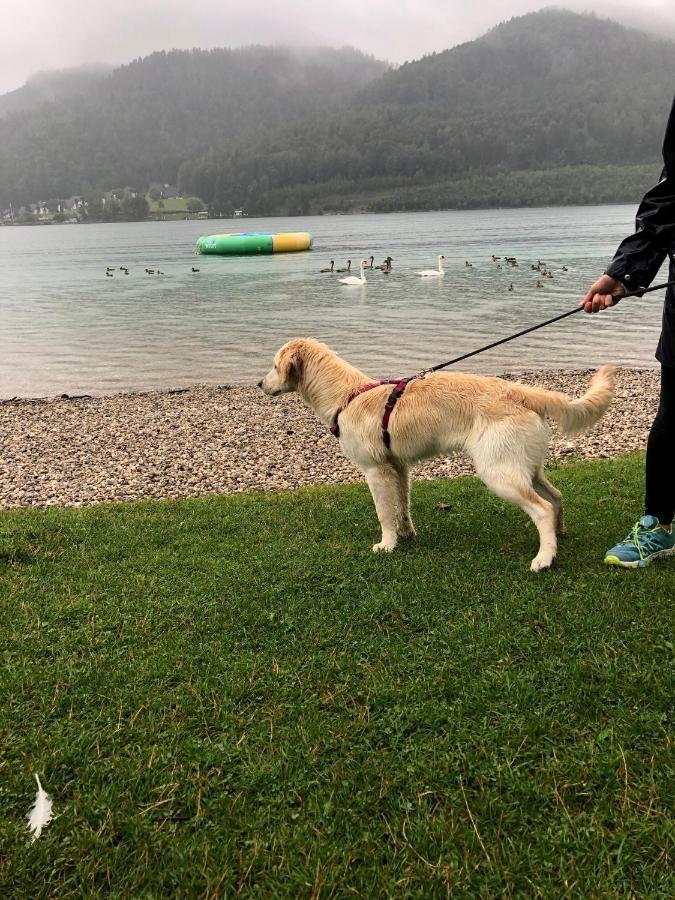 Millies Hosting - Familienurlaub Mit Hund In Kaernten Apartman Sankt Paul im Lavanttal Kültér fotó